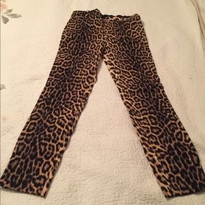 Animal print zara social pants